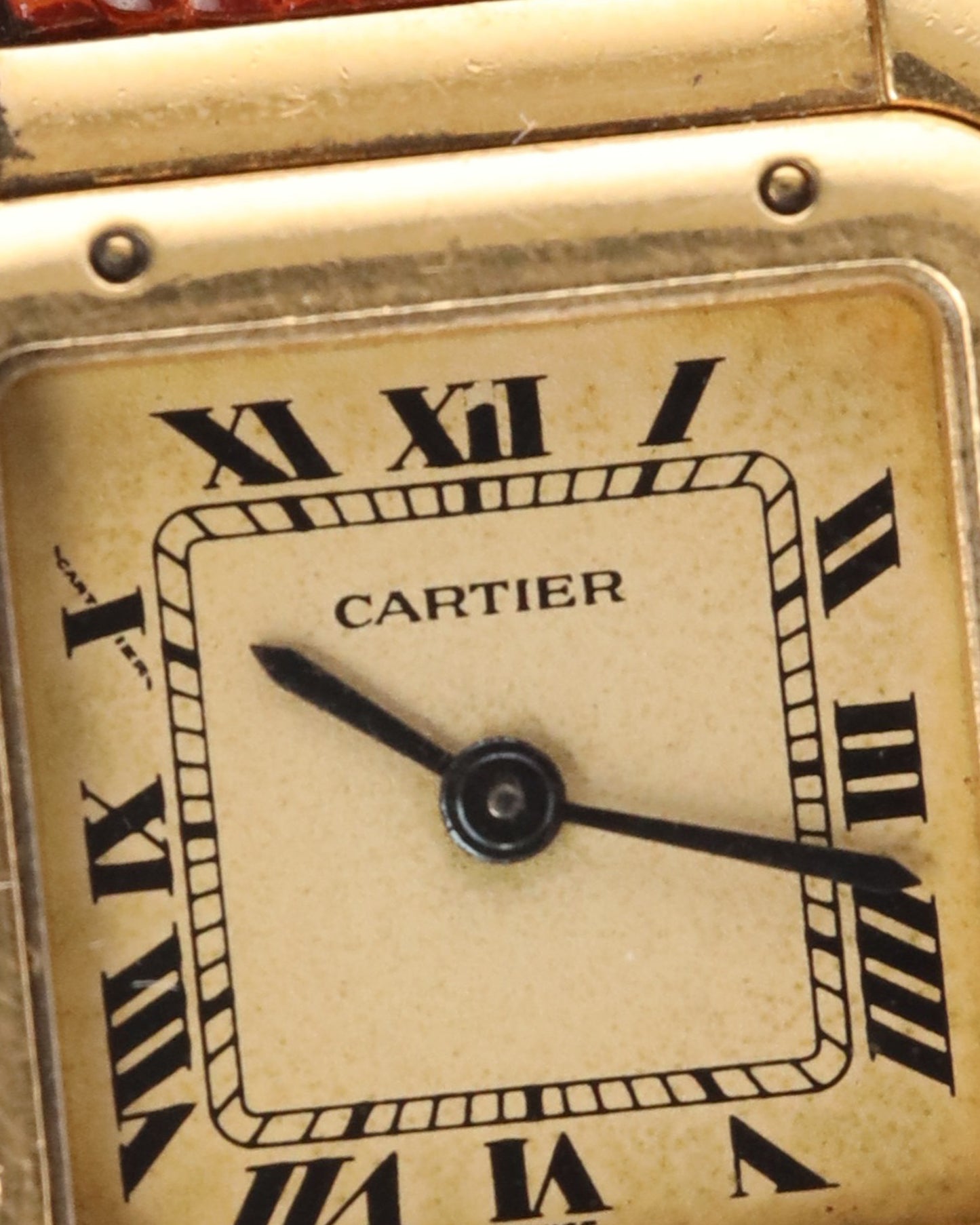 Cartier Mini Panthère